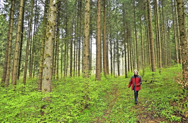 Ein Spaziergang im Wald zwischen Donau...te auch wirtschaftliche Auswirkungen.   | Foto: Roland Sigwart