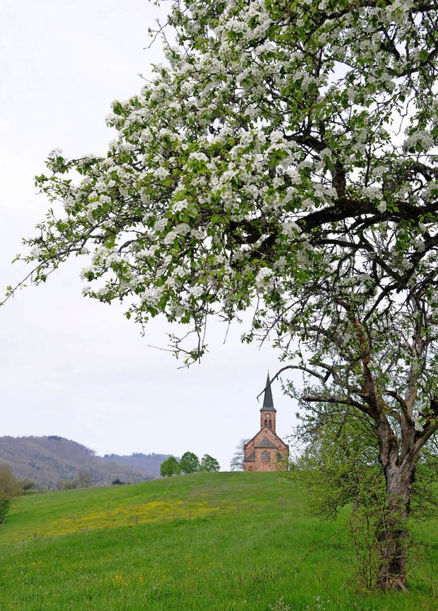   | Foto: Robert Bergmann