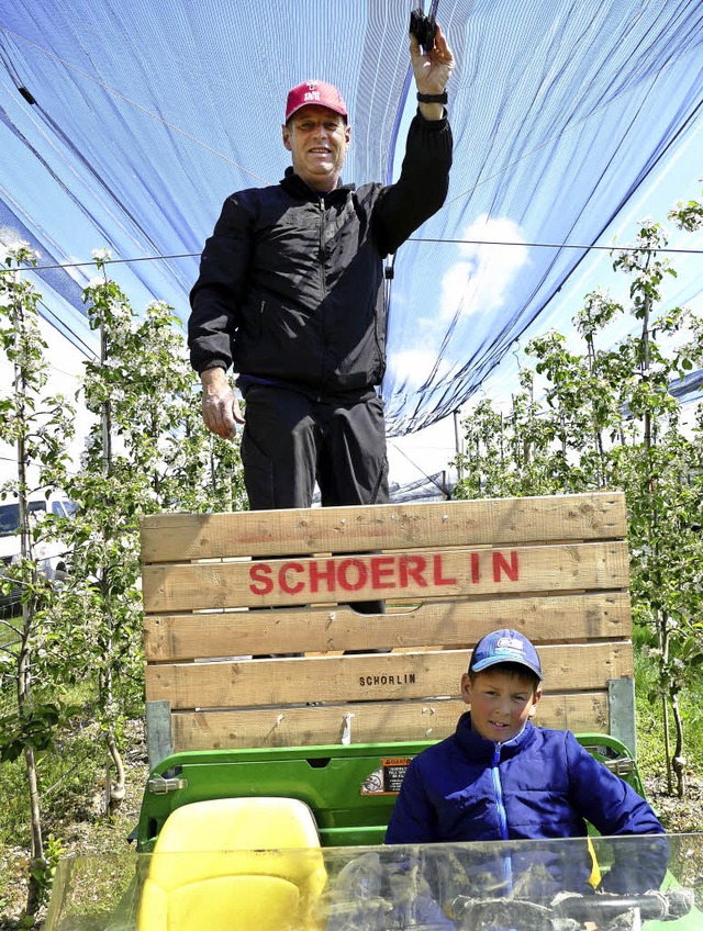 Markus Schrlin spannt mit Hilfe von S...ipp Hagelnetze ber seine Apfelbume.   | Foto: Elena Bischoff