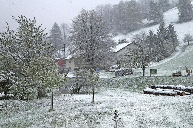 Kinder, Kinder, noch einmal zuckt der Winter