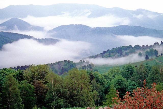 Am Oberrhein, in der Fremde