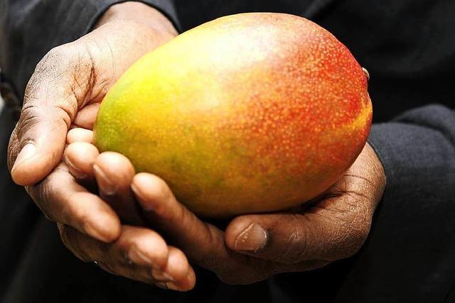 Verein aus Teningen organisiert wieder Mango-Bestellung aus Burkina Faso – fr den guten Zweck