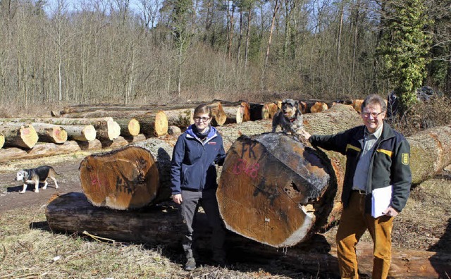 Forstdirektor Jrgen Schmidt (rechts) ...d und dabei gute Preise erzielt wurden  | Foto: Landratsamt - Ulrich Spitzmller