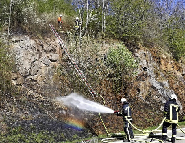 Einen Flchenbrand an einem schwer zug...bteilungen  Bonndorf und Wellendingen.  | Foto: Olaf Thor