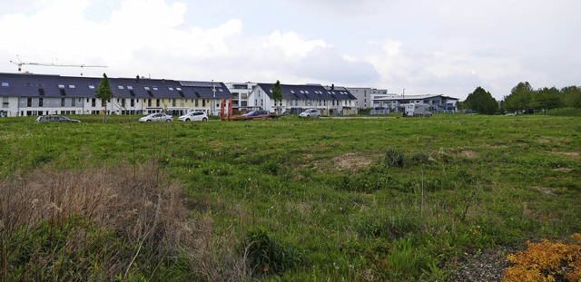 Diese Wiese im Baugebiet Kurgarten I, ...Stadt fr den Gesundheitscampus frei.   | Foto: Theresa Ogando