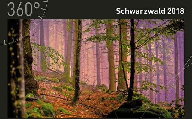 Das Coverbild des Schwarzwaldkalenders 2018  | Foto: zvg