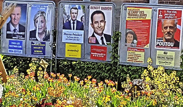 Einige der Wahlplakate vor dem Rathaus in Hningen  | Foto: Magdalena Kaufmann-Spachtholz