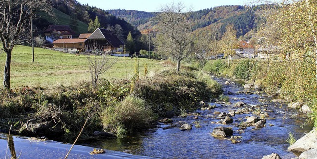 Entlang der Elz in Oberprechtal &#8211...uber auch 2016 wieder  sehr anziehend.  | Foto: Bernd Fackler