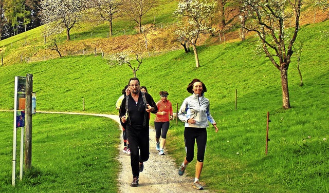 Das Laufen in der Gruppe  im Dreisamtal macht viel Spa.   | Foto: Privat