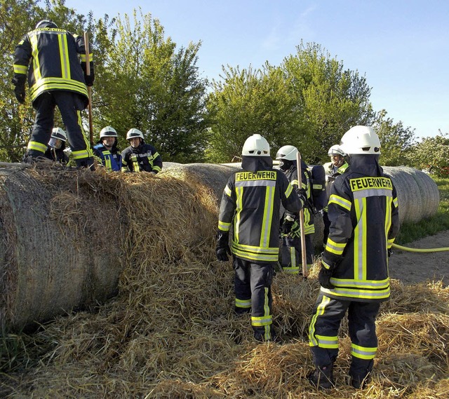 Strohballenbrand in Denzlingen  | Foto: Feuerwehr Denzlingen