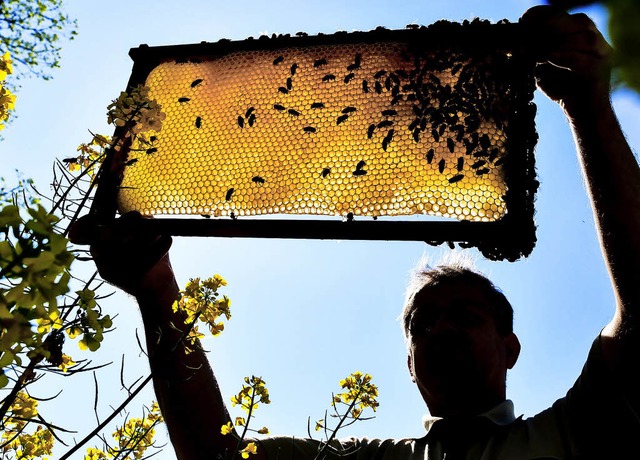 Ein Imker bei der Arbeit   | Foto: dpa