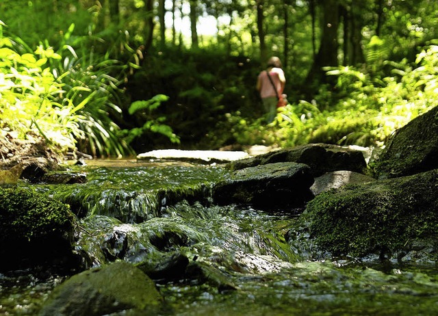 Seit 2010 gibt es den Sulzer Wasserpfad.   | Foto: BZ