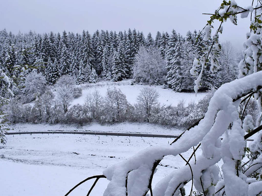 Winterwunderland Kleines Wiesental