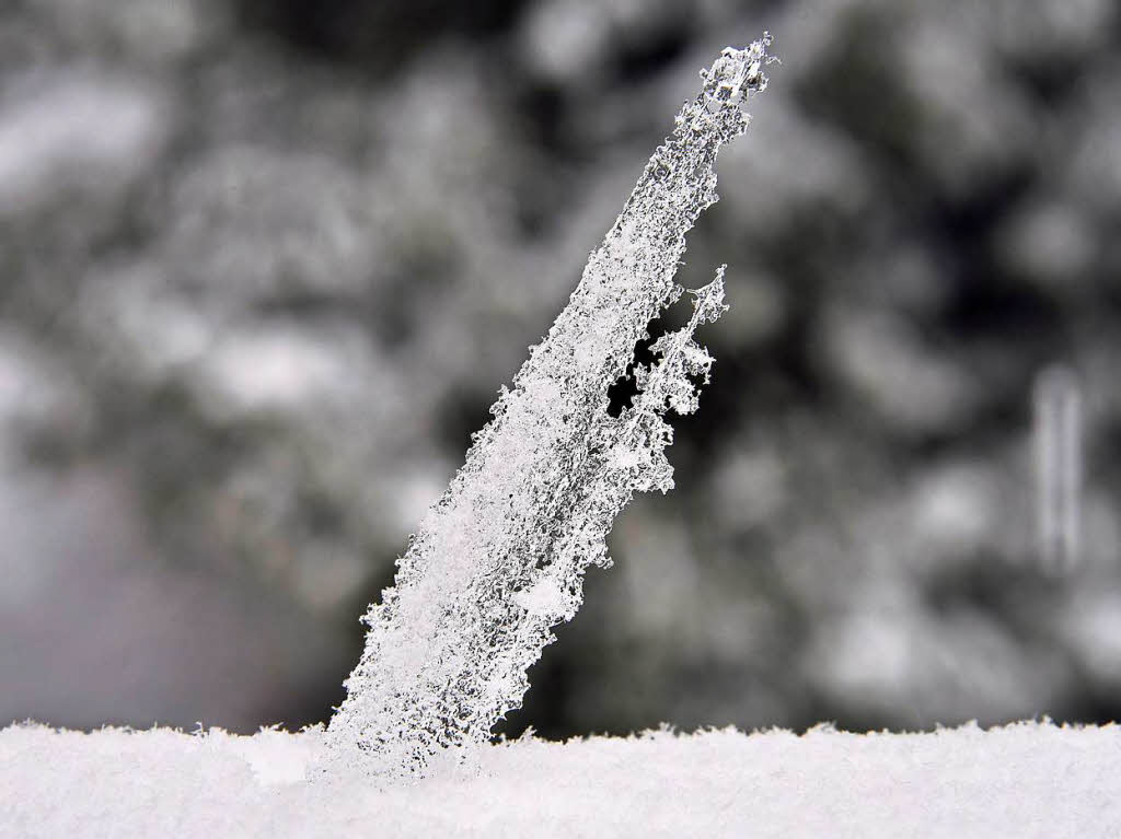 Schnee, Eis und Nebel – so prsentiert sich der Schauinsland Ende April.