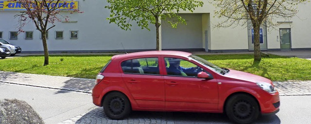 Auf dem Grnstreifen in der Teichstrae sollen Parkpltze entstehen.   | Foto: Sattelberger