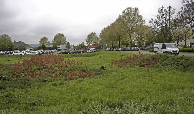 Auf der Wiese im Vordergrund will die ...hof um rund 100 Stellpltze erweitern.  | Foto: Volker Mnch