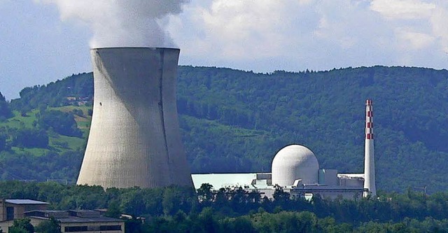 Das Kernkraftwerk Leibstadt musste nac...aus dem Geschftsbericht 2016 hervor.   | Foto: Manfred Herbst