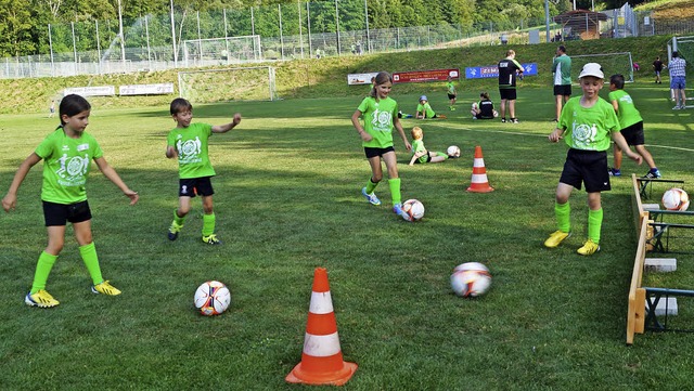 Nach dem Erfolg des Vorjahres (Foto)  ...en Sommer  eine Jugend-Fuballschule.   | Foto: Silke Hartenstein