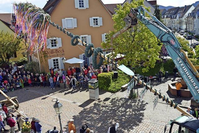 Maibaum begrt die Kirchzartener Gste