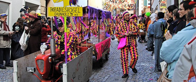 Die Fasnacht ist nur einer der vielen ...e  Paradiesvgel jhrlich wahrnehmen.   | Foto: Archivbild: Ralph Fautz