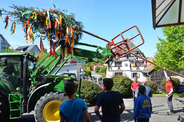 Maibaumstellen in Blansingen  | Foto: Marco schopferer