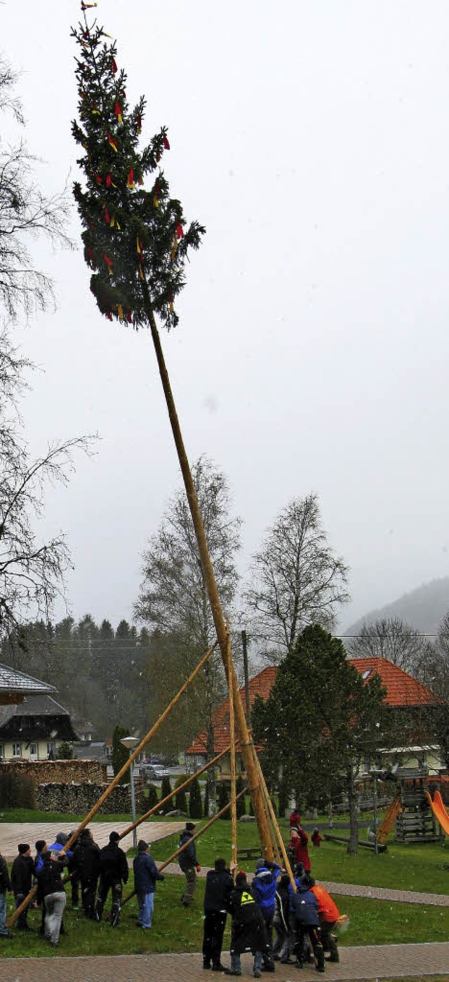 Immerhin den Maibaumstellern vor dem K... es bei ihrer Arbeit ganz schn warm.   | Foto: sub