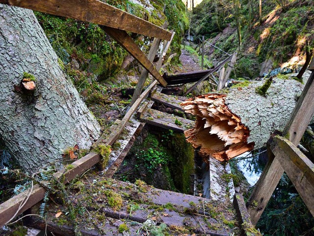 Umgestrzt ist eine mchtige Tanne in ...e Brcke, die nun total zerstrt ist.   | Foto: Martin Schwenninger