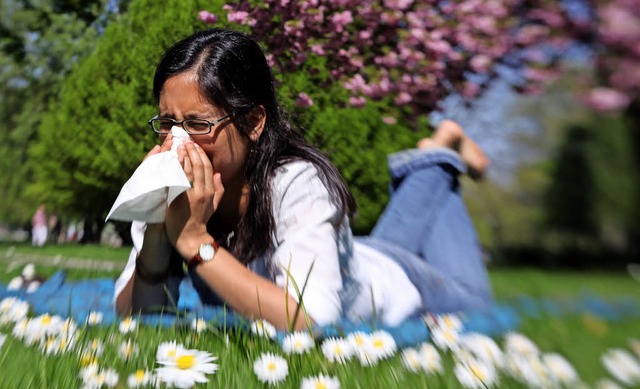 Hatschi! Pollen machen immer mehr Menschen zu schaffen.   | Foto: dpa