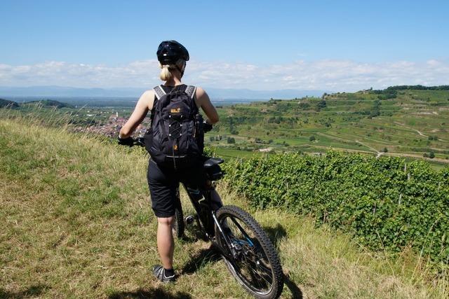 Kaiser-Tour: Mit dem Rad auf halber Hhe um den Kaiserstuhl