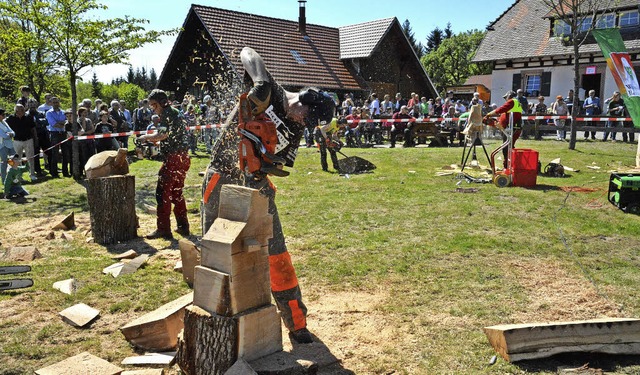 Beim Speed-Carving flogen die Spne: M...ner und Oliver Kugel bei der  Arbeit.  | Foto: Benedikt Sommer