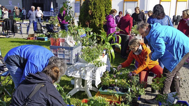 Der Heimat-und Verkehrsverein organisi...markt auf dem Gelnde der Firma Zipse.  | Foto: Hge