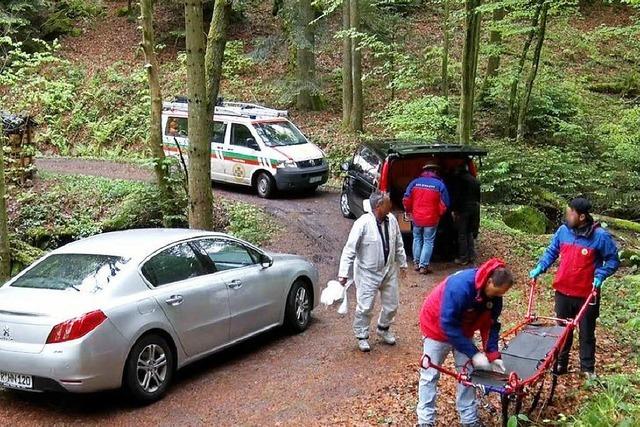 Frau stirbt im Wald bei Offenburg: Verdacht auf Suizid