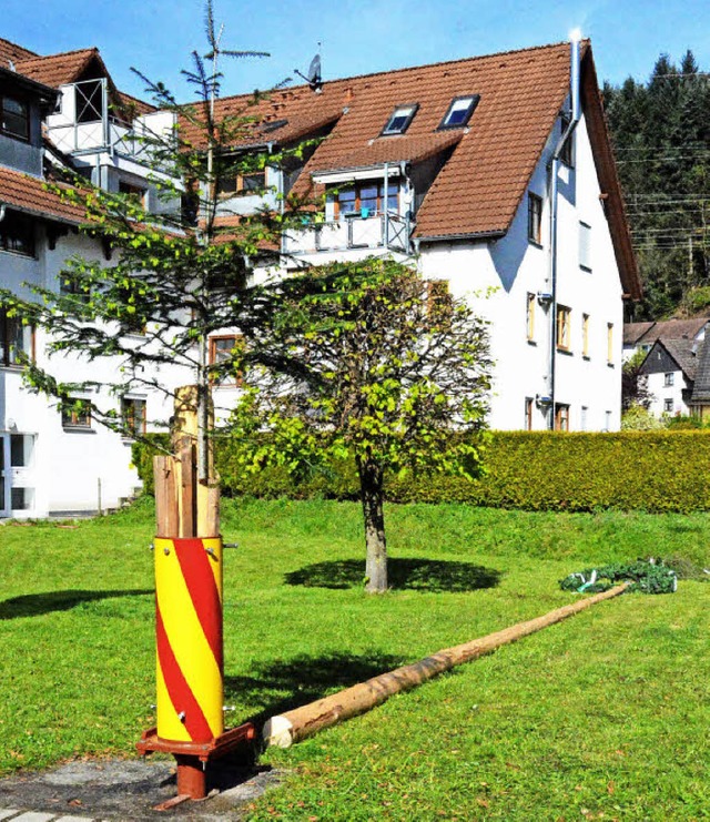 Eine Fichte ersetzt den gefllten Maibaum in Hausen.   | Foto: Steinfelder