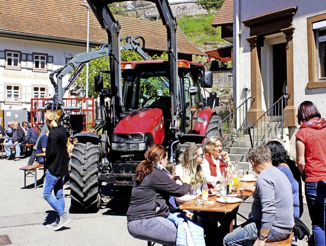 Sonne, Traktoren, Geselligkeit &#8211;...- und Forstwirtschaft zu informieren.   | Foto: Heiner Fabry