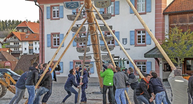 Per Muskelkraft wurde der Maibaum in G...en auf dem Rathausplatz aufgerichtet.   | Foto: Chris Seifried