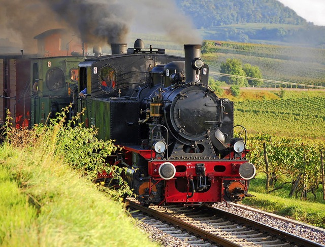 Wieder im Einsatz: der Rebenbummler   | Foto: Benjamin Bohn