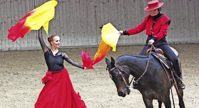 Tanz mit dem Pferd: Den Zuschauern auf...eistndiges, buntes Programm geboten.   | Foto: Dorothe Kuhlmann