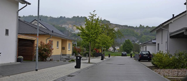 In der Verlngerung der Strae Stockfe...n ein kleines Neubaugebiet entstehen.   | Foto: Schopferer