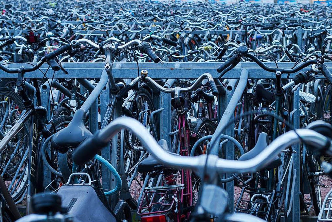 Welcher Fahrradtyp bist du?  | Foto: Hector Martinez (Unsplash.com)