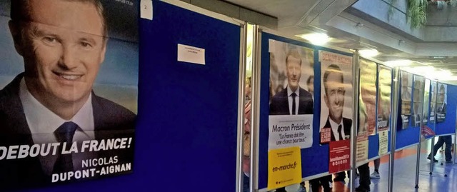 Alle Kandidaten schickten Plakate, nur...l im Deutsch-Franzsischen Gymnasium.   | Foto: Pnot