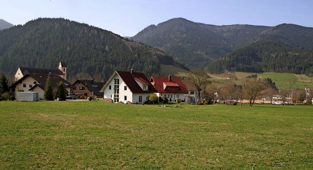 Hier, oberhalb der Bebauungen am Schlo... Vorhabens waren Thema im Gemeinderat.  | Foto: ARCHIVBILD: K. Heiss