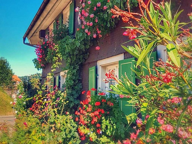 Im Farbrausch: Blumenpracht an einem Bauernhaus in Bleibach    | Foto: Petra Kistler
