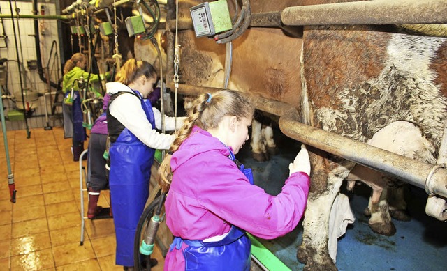 Im Rahmen des &#8222;Girl&#8217;s Day&...dchen auf dem Bauernhof in Raitbach.   | Foto: Anja Bertsch