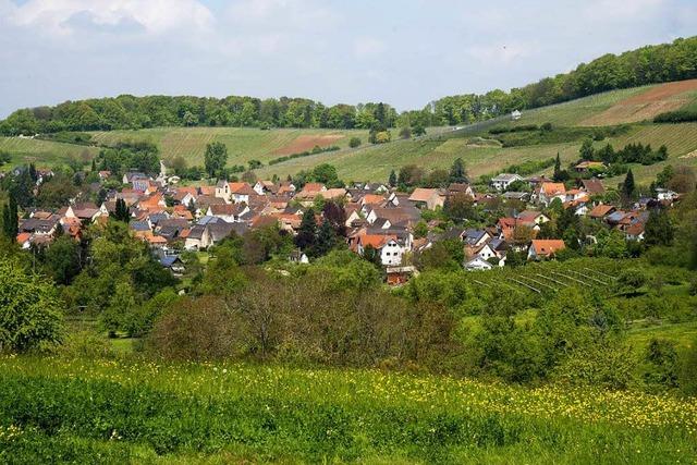 Feldberg will bei 