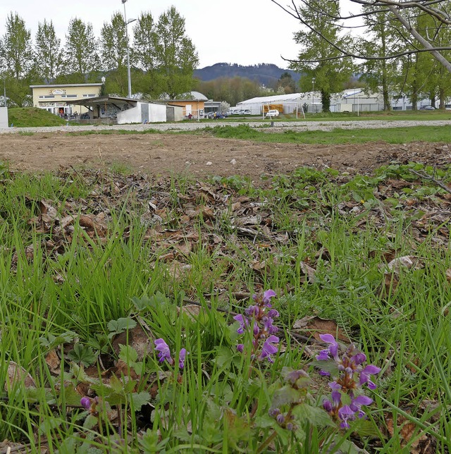 Die Fuballer weichen im Gaisgraben der BDB-Akademie  | Foto: hpm