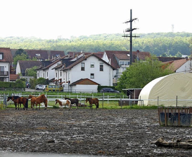 Auf den   heutigen bungspltzen  soll...e Reiterhof entstehen, an  <ppp></ppp>  | Foto: Herbert Frey