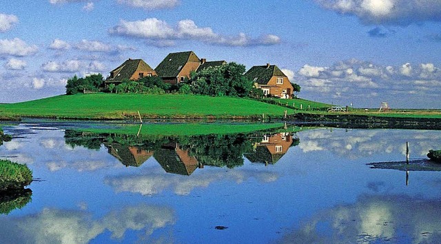 Hallig Hooge im schleswig-hollsteinischen Wattenmeer   | Foto: dpa