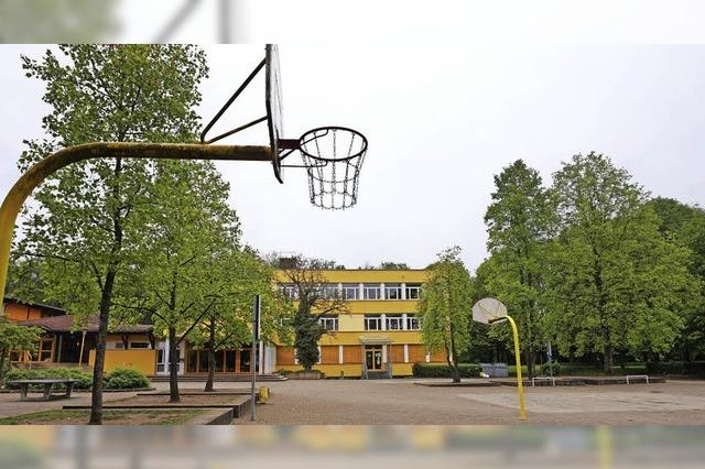 Mit Hecken-Zaun und Trampolinen