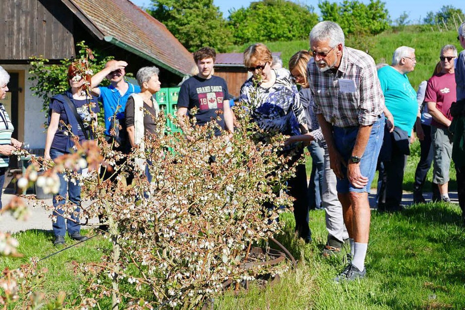 Erfrorenes Obst: Der späte Frost des Jahres 2017 ist von der Landesregierung als Naturkatastrophe eingestuft worden. BZ-Leser konnten sich im Lehr- und Versuchsgarten in Opfingen ein Bild von den Folgen der Kälte machen. (Foto: Sebastian Wolfrum) Erfrorenes Obst: Der späte Frost des Jahres 2017 ist von der Landesregierung als Naturkatastrophe eingestuft worden. BZ-Leser konnten sich im Lehr- und Versuchsgarten in Opfingen ein Bild von den Folgen der Kälte machen. (Foto: Sebastian Wolfrum)