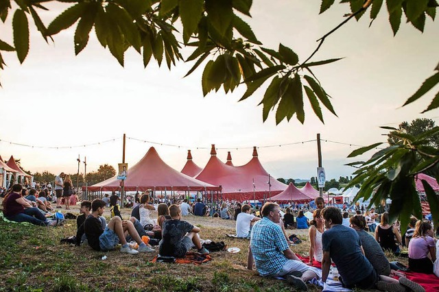 Musik unter freiem Himmel genieen &#8...017 nicht nur auf dem ZMF in Freiburg.  | Foto: Klaus Polkowski